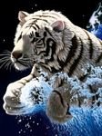 pic for White Tiger Water